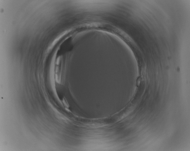 X0000076310722200610271938