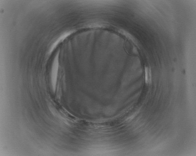 X0000076310723200610271938