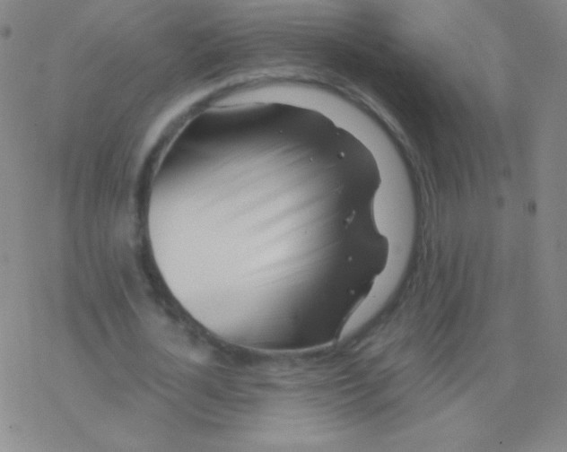 X0000076310724200610271938