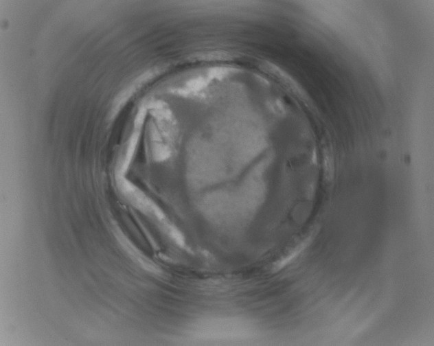 X0000076310725200610271938