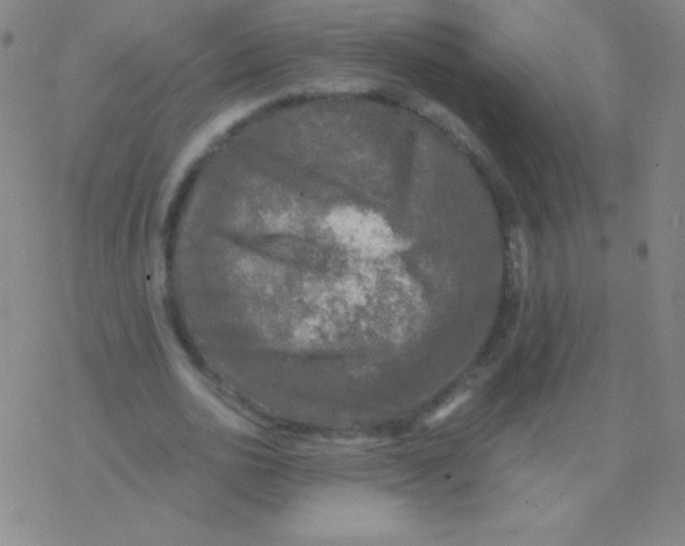 X0000076310726200610271938