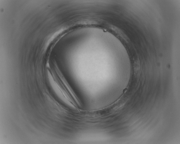 X0000076310727200610271938