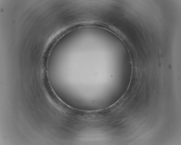 X0000076310728200610271938