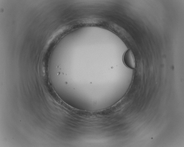 X0000076310731200610271938