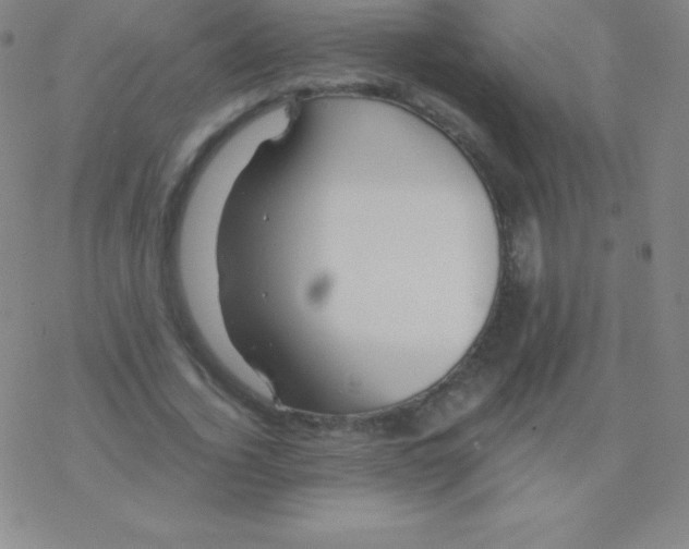 X0000076310732200610271938