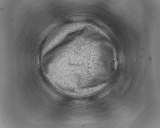 X0000076310733200610271938