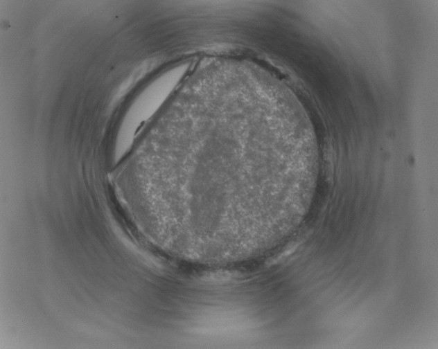 X0000076310734200610271938