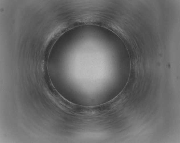 X0000076310735200610271938