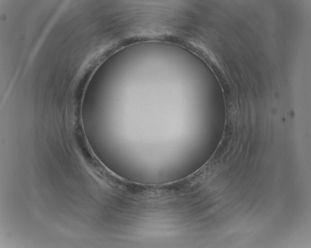 X0000076310736200610271938