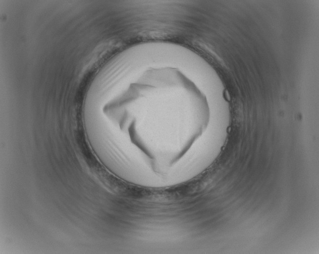 X0000076310738200610271938