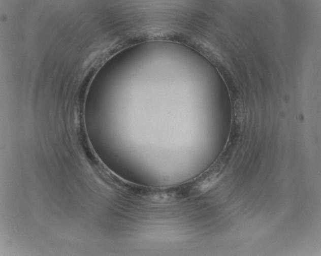 X0000076310740200610271938