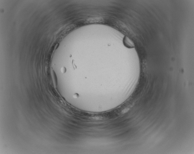 X0000076310741200610271938