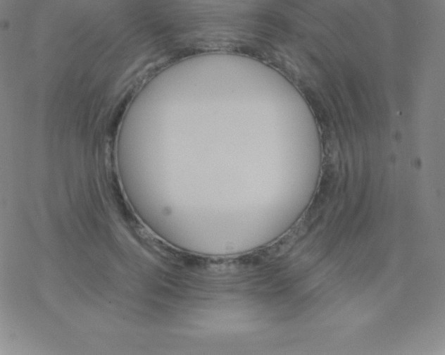 X0000076310744200610271939