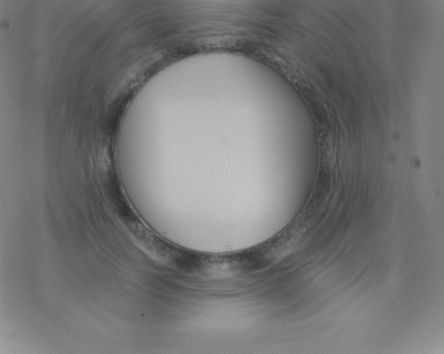 X0000076310746200610271939