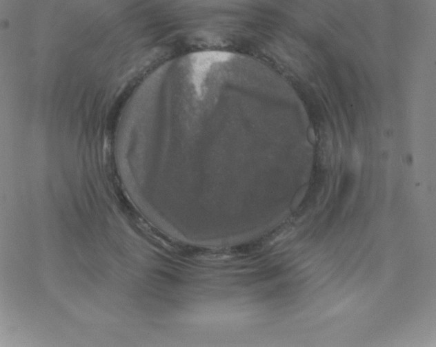 X0000076310747200610271939