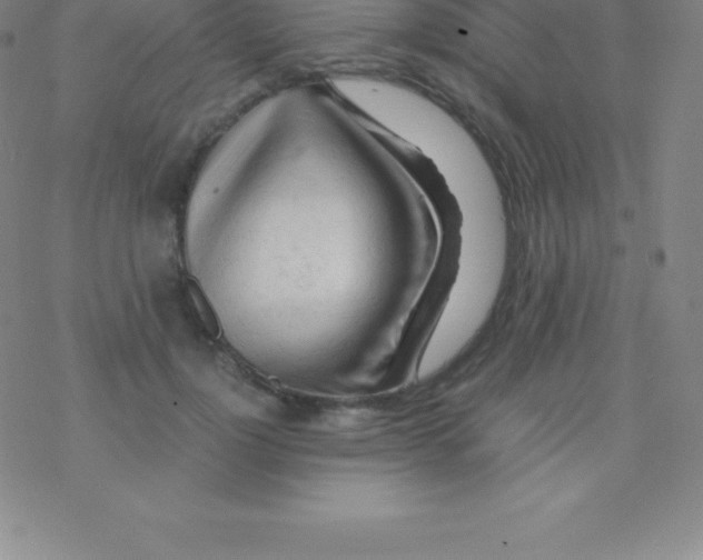 X0000076310748200610271939