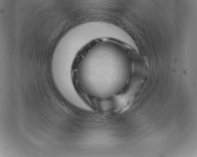 X0000076310750200610271939