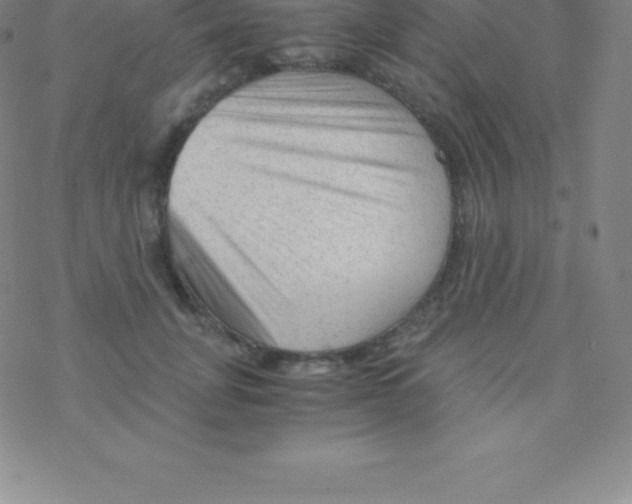 X0000076310751200610271939