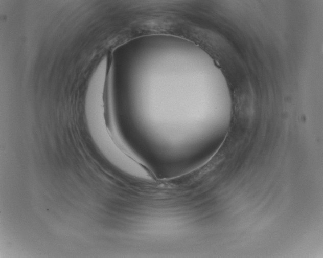 X0000076310752200610271939