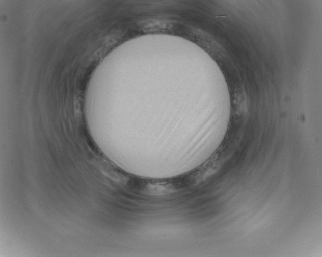 X0000076310753200610271939