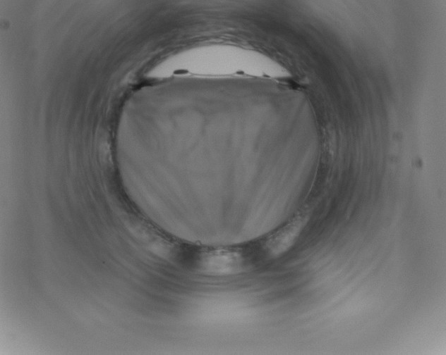 X0000076310754200610271939