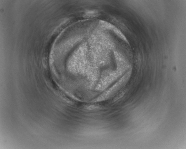 X0000076310755200610271939