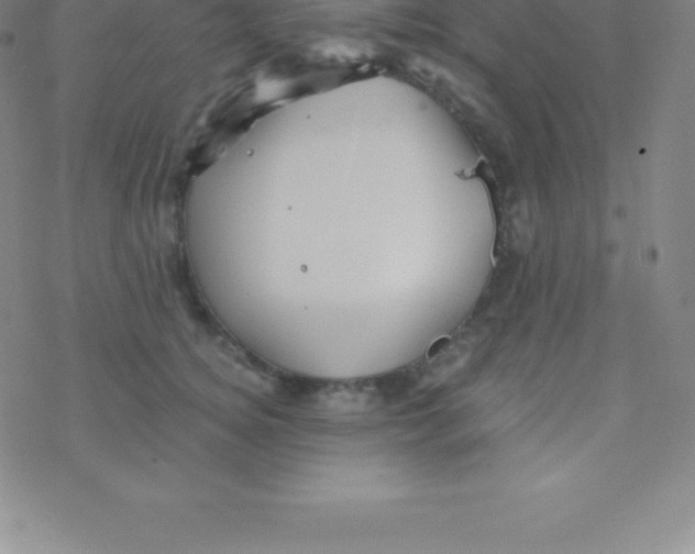 X0000076310756200610271939