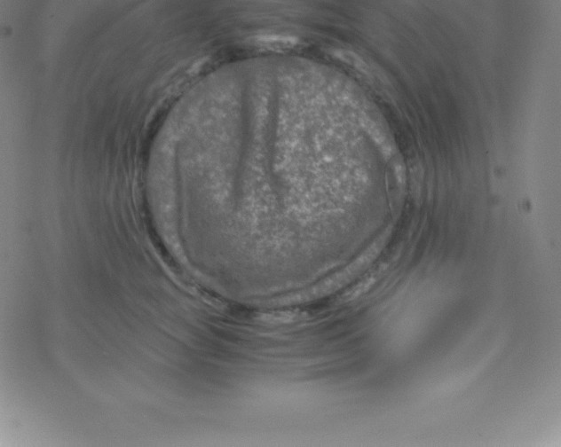 X0000076310757200610271939