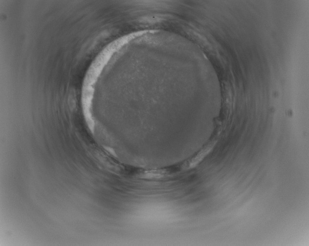 X0000076310758200610271939