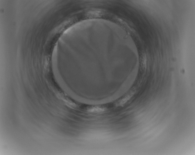 X0000076310759200610271939