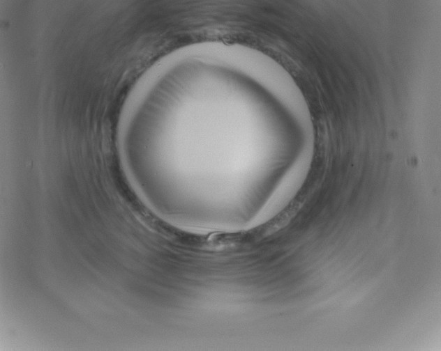 X0000076310760200610271939