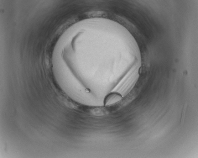 X0000076310761200610271939