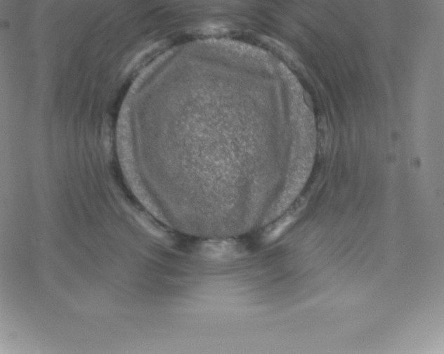 X0000076310762200610271939