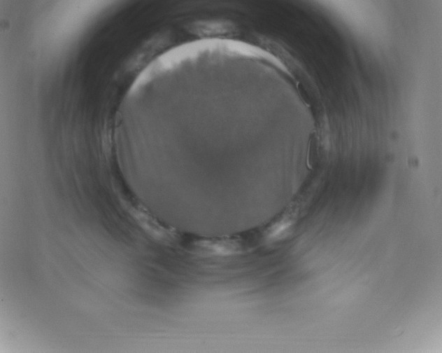 X0000076310763200610271939