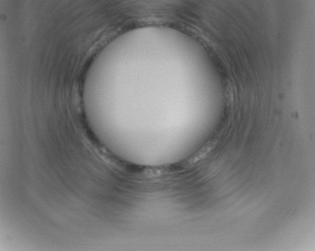 X0000076310764200610271939