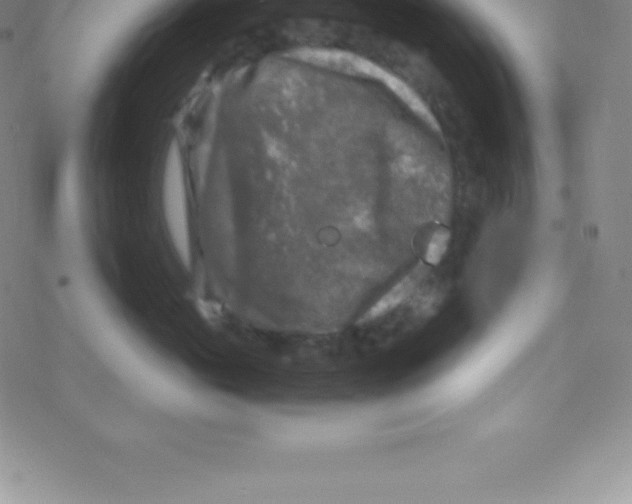 X0000076310765200610271939