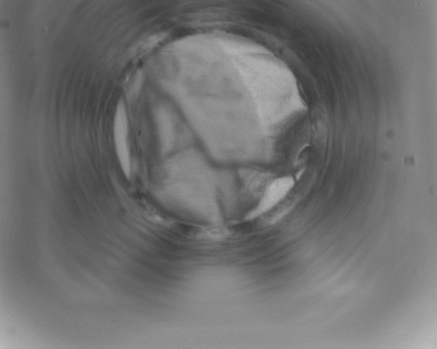 X0000076310767200610271939