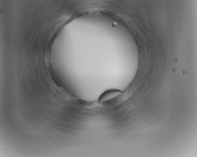 X0000076310768200610271939