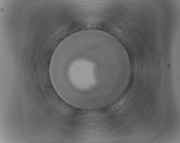 X0000076310769200610271938