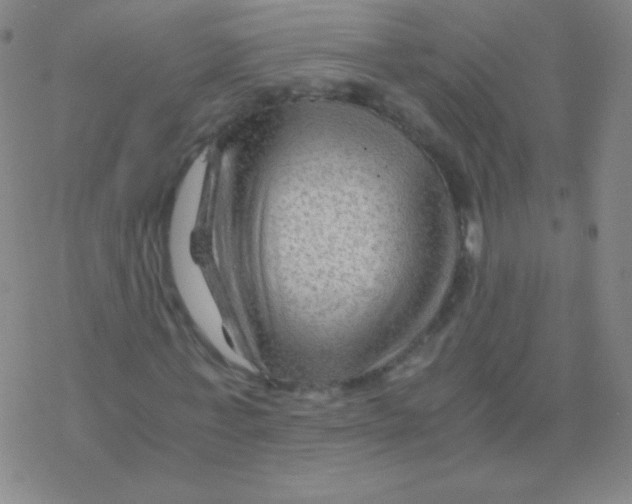 X0000076310771200610271938