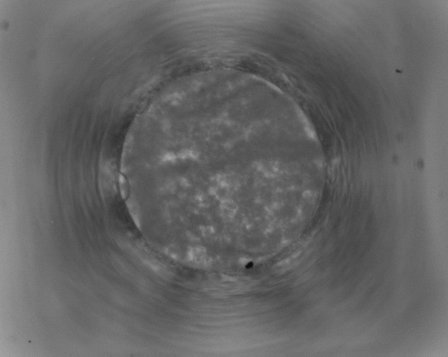 X0000076310772200610271938