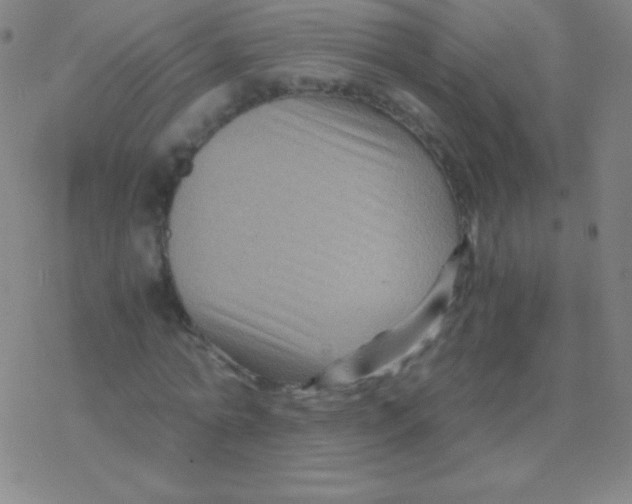 X0000076310774200610271938