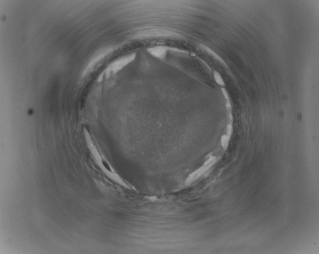 X0000076310775200610271938