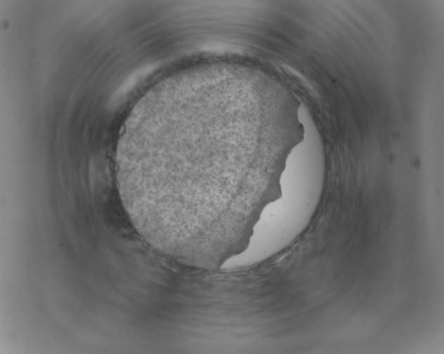 X0000076310776200610271938