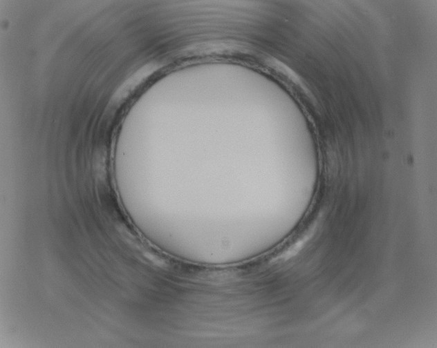 X0000076310778200610271938