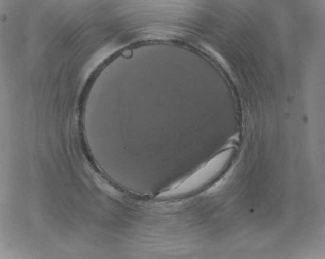 X0000076310779200610271938