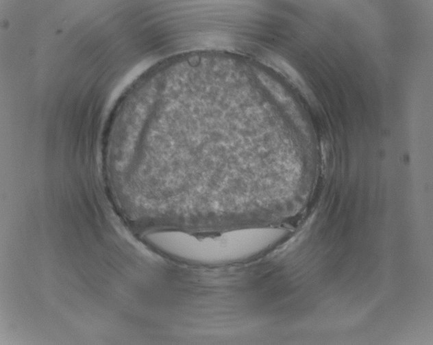 X0000076310780200610271938