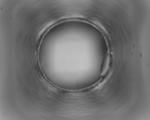 X0000076310781200610271938