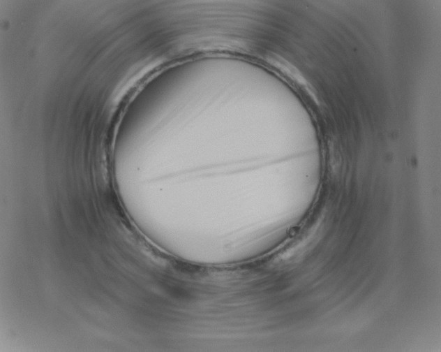 X0000076310782200610271938