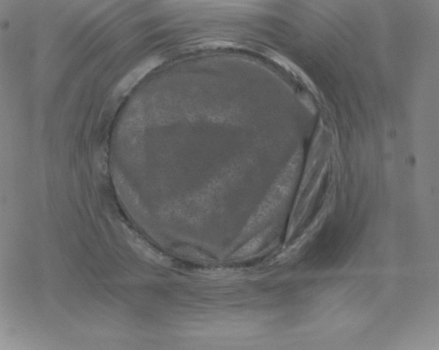 X0000076310785200610271938